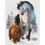 (image for) Horse with ChowChow